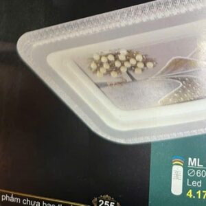 Đèn mâm led ML10161 W600 L800