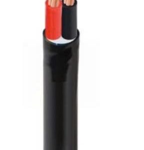 Dây cáp điện 2 lõi CVV 2x6 Cadivi