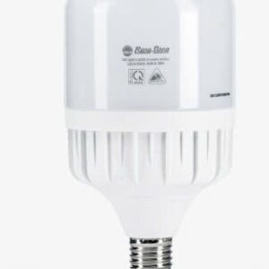 Bóng LED Bulb TR100N1/30W E27 ánh sáng trắng 6500K Rạng Đông