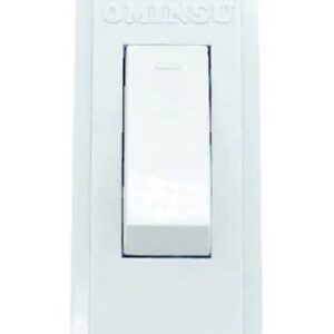QN1-Công tắc quả nhót