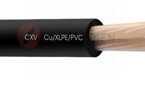 Dây cáp điện Lion CXV 2×6 (2×7/1.04) cáp hạ thế 2 lõi – 7 sợi ruột dẫn đồng /lõi