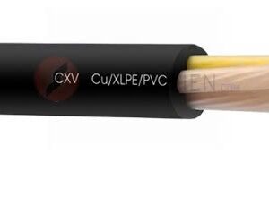 Dây cáp cứng Lion CXV 4×6 (4×7/1.04) cáp hạ thế 4 lõi – 7 sợi ruột dẫn đồng /lõi
