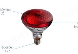 Bóng hồng ngoại 125W ThornEmy